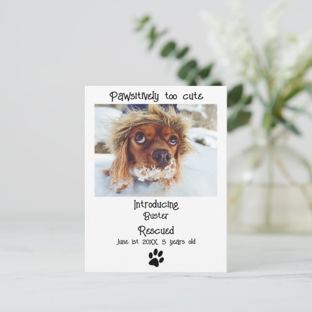 New Pet Dog Announcement Postcard (Standing Front)