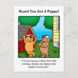 New Pet Humour Postcard