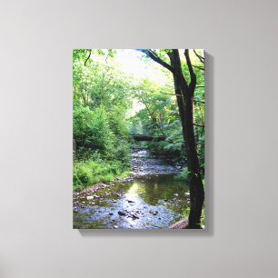 New Photo Sunlight Tennessee Mountains Creek Trees Canvas Print