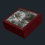 New Pine Cones Gift Box<br><div class="desc">Large mahogany gift box with images of evergreen boughs covered with snow and sprouting new pine cones. See the entire Christmas Gift Box collection under the HOME category in the HOLIDAYS section.</div>