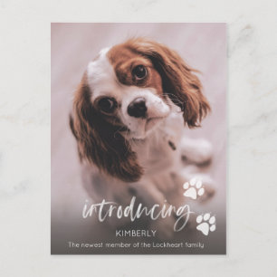 New Puppy Announcement, Adult Dog Adoption Postcard