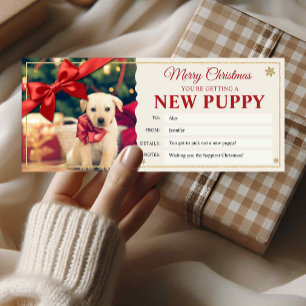 New Puppy Christmas Gift Certificate Card