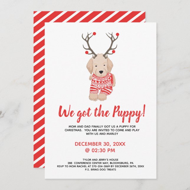 New Puppy Christmas Kids Party Playdate Invitation (Front/Back)