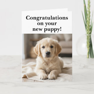 New Puppy Congratulations Funny  Card
