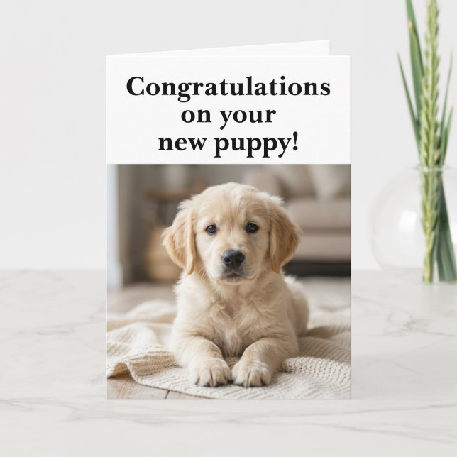 New Puppy Congratulations Funny  Card (Front)