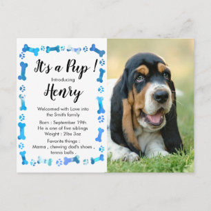New Puppy - New Pet - Blue Boy Dog Birthday Puppy Announcement Postcard