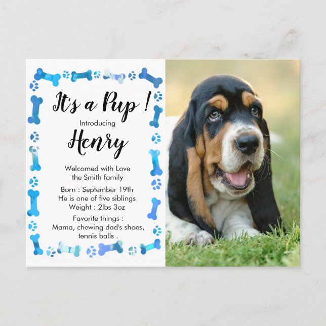 New Puppy New Pet- Blue Boy Dog Puppy Announcement Postcard (Front)