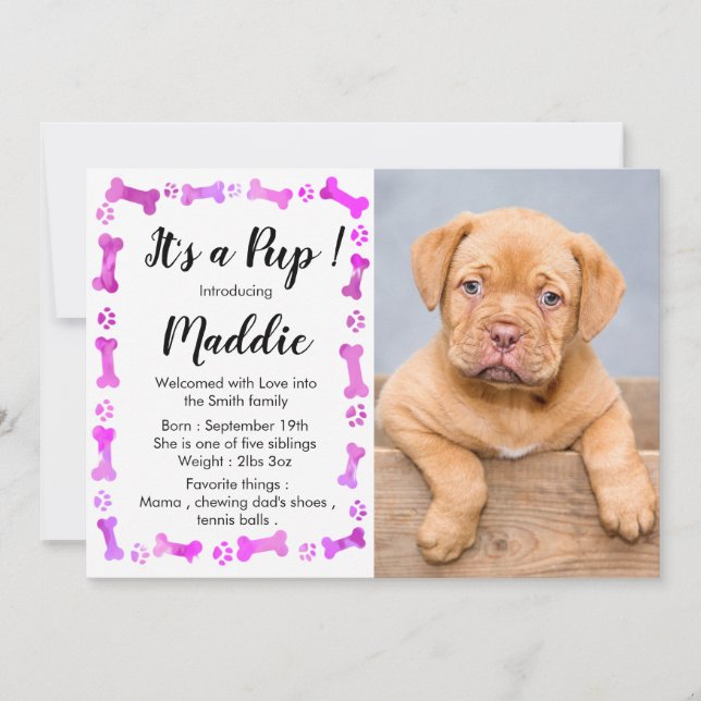 New Puppy - Pink Girl New Pet - Dog Birthday Puppy Announcement (Front)