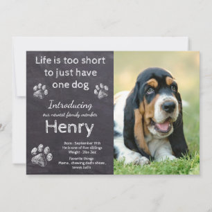 New Puppy - Rustic Pet Dog Photo Chalkboard Puppy Announcement