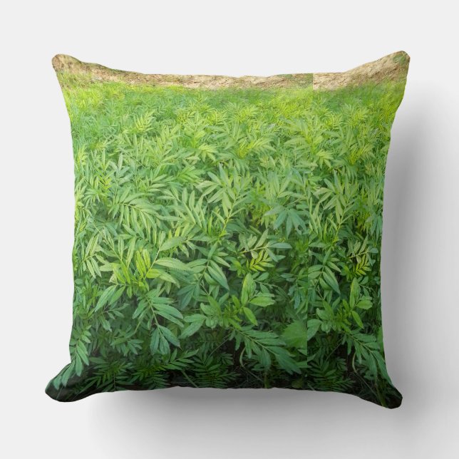 New purdect  cushion (Front)