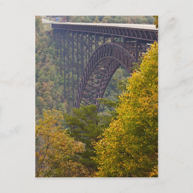 New River Gorge Bridge, New River Gorge Postcard (Front)
