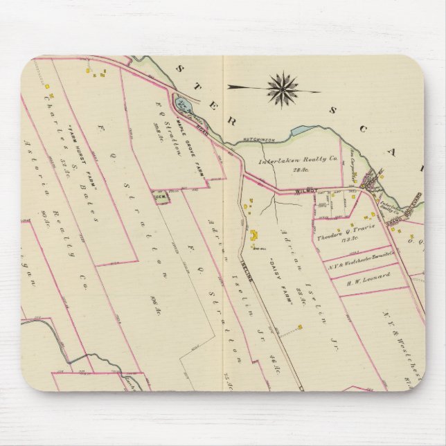 New Rochelle ward 3, New York Mouse Pad (Front)