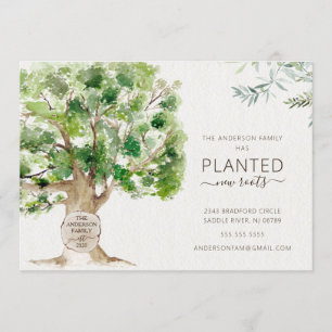 New Roots Oak Tree Moving Announcement