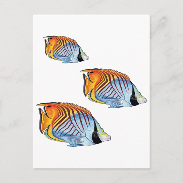 NEW SCHOOL DAY POSTCARD (Front)