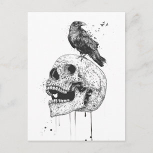 New skull (bw) postcard