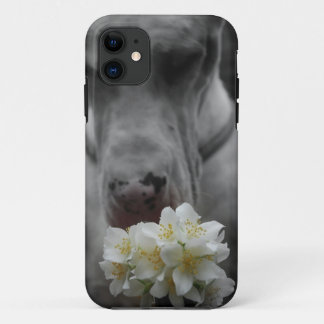 New Smartphone personal case