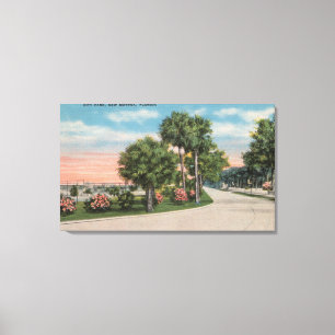 New Smyrna, Florida - Street View of City Park Canvas Print