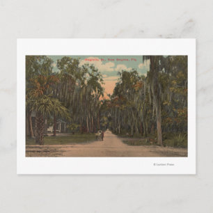 New Smyrna, Florida - View of Magnolia Postcard