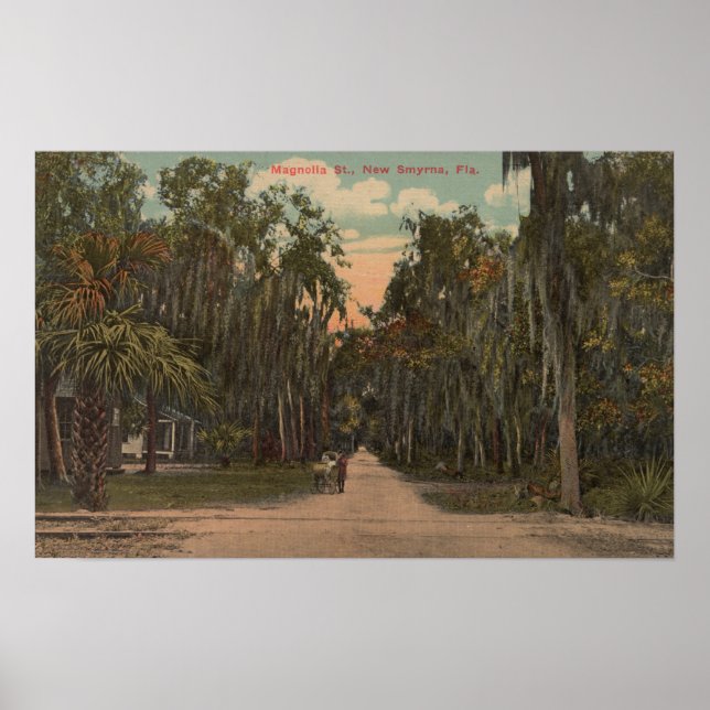 New Smyrna, Florida - View of Magnolia Poster (Front)