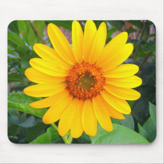 New Sunflower Mouse Pad