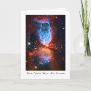 New Venture Luck - Stars in Cygnus, The Swan Card