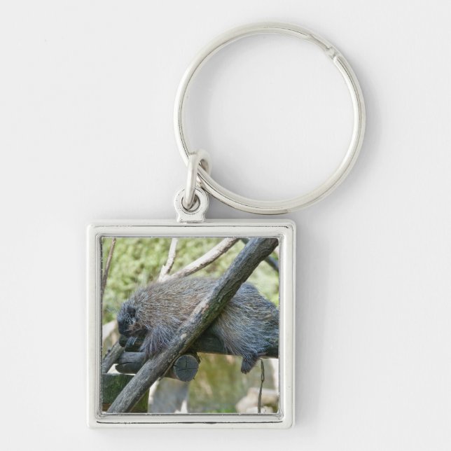 New World Porcupine Key Ring (Front)