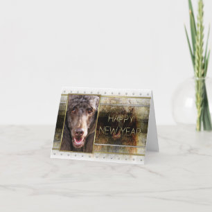 New Year - Golden Elegance - Poodle - Chocolate Holiday Card