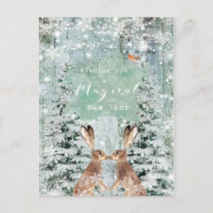 new year holiday winter robin hares postcard