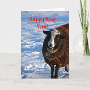 New Year Sheep Holiday Card