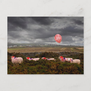 New Year sheep Postcard