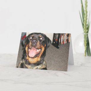 new years 002 holiday card