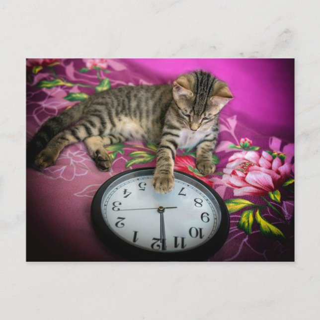 New Year's Eve Clock Cat 12 Midnight Countdown Postcard (Front)