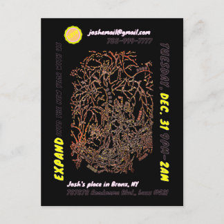 NEW YEAR'S EVE PARTY postcard invite