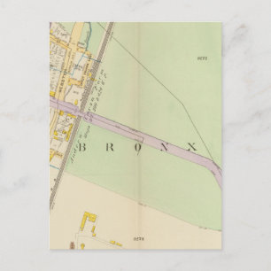 New York 24 Postcard