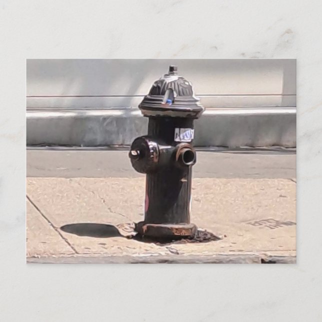 New York City Fire Hydrant Post Card (Front)