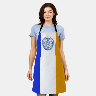New York City flag Apron