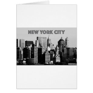 New York City Lower-Manhattan Pro Photo