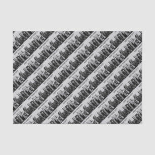 New York City Lower-Manhattan Pro Photo Tissue Paper