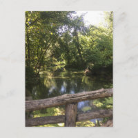 New York City NYC Central Park Trees Water Photo