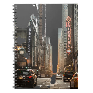 New York Notebook