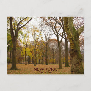 New York Postcards NYC Central Park Postcards