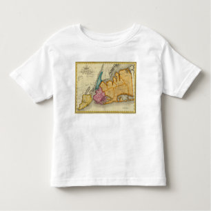 New York, Queens, Kings, Richmond counties Toddler T-Shirt