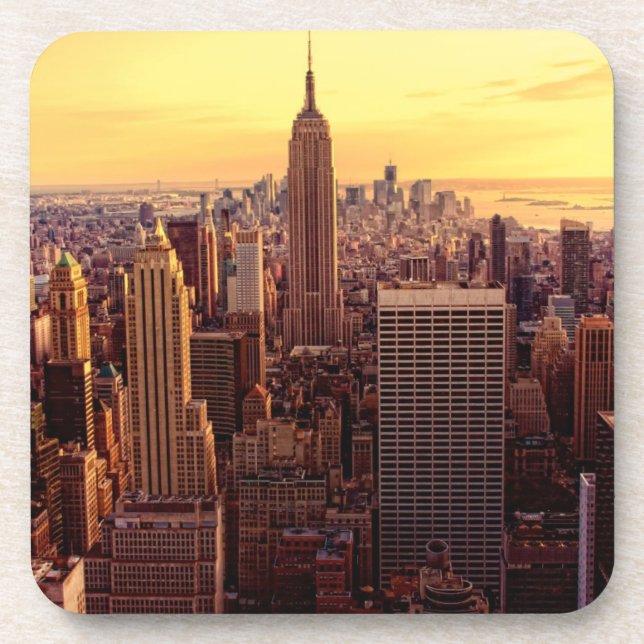 New York skyline city with Empire State Coaster (Front)