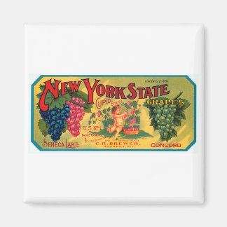 New York State Grapes Magnet