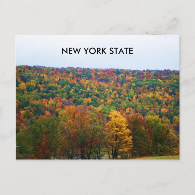NEW YORK STATE IN AUTUMN postcard (Front)