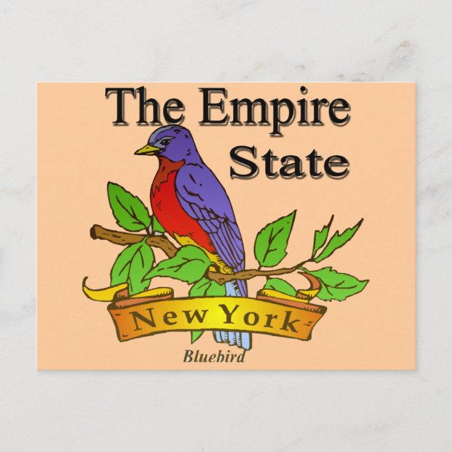 New York The Empire State Bird Postcard (Front)
