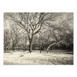New York Winter - East Village Snow Photo Print