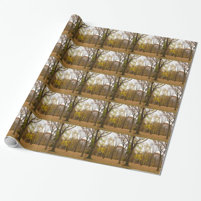 New York Wrapping Paper Central Park Gift Paper (Unrolled)