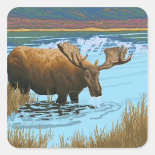New YorkMoose Drinking in Lake Square Sticker