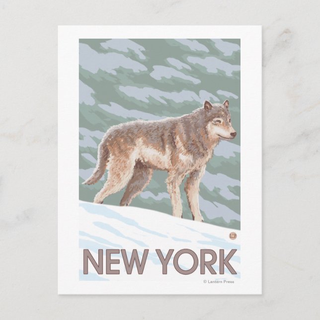 New YorkWolf Scene Postcard (Front)